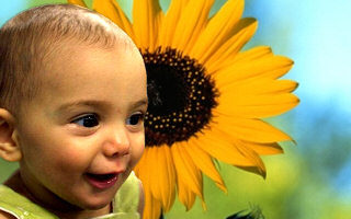 Sunflower-baby