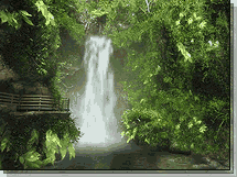 forest_waterfall_original_ani_screensaver_2_215